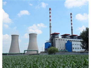 山東菏澤發(fā)電廠(chǎng)