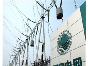 國(guó)家電網(wǎng)遼寧省電力有限公司